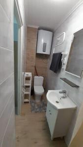 Apartment Vecliepaja