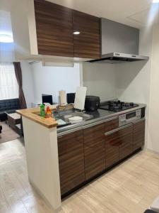 Systemcoat Oodouri East 103