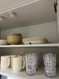 Systemcoat Oodouri East 103