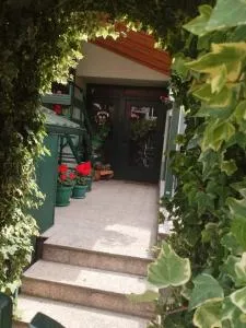 Apartmani Milanović Jagodina - Motriće