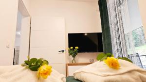 Apartamenty Izerskie Strumykowa 7