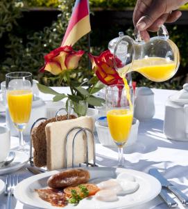 Dolphins Playground Beachfront B&B