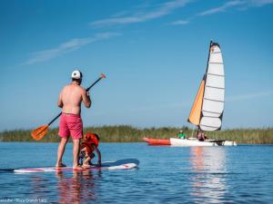 Maisons de vacances Maison climatisee a Parentis-en-Born, 3 chambres, jardin, proche centre et activites, menage inclus - FR-1-319-554 : photos des chambres
