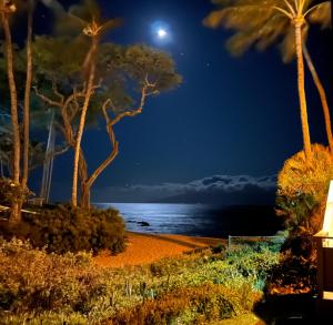 The Napili Bay 111 - Ocean View Studio - Steps from Napili Beach