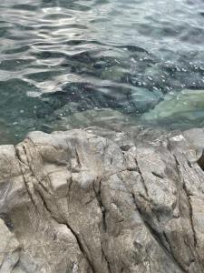 Cilento Casa Vacanza Giuvino