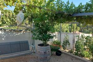Chalet, piscina y barbacoa