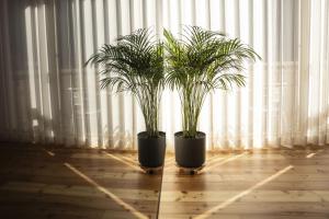 Chasa Helvetia Quatter