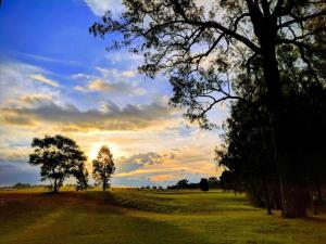 Madigan Cottages - The Homestead
