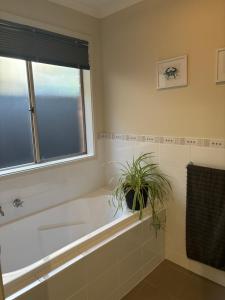 Entire modern house near the beach