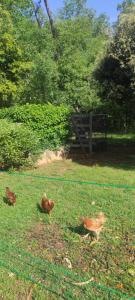 Villas Maison calme et paisible : photos des chambres