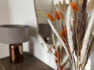 Appartements Le cocon du Faubourg : Appartement 1 Chambre Deluxe