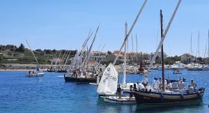 Green Garden , HOMEANDSAIL