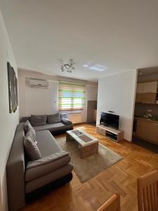 Apartment Stanic - Ubytování bez kategorie ve městě Vračar (historical)