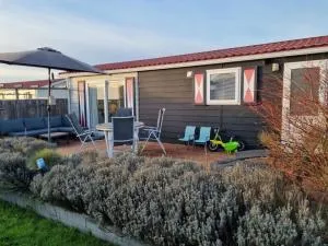 Florence 4 Comfortable holiday residence - Gapinge