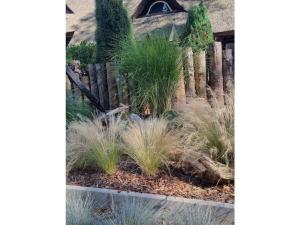 Sea air Comfortable holiday residence