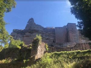 Maisons de vacances Les Petits Vignerons : photos des chambres