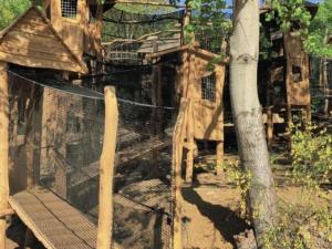 Maisons de vacances Les Petits Vignerons : photos des chambres