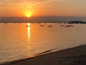 Villas Villa vacances avec piscine entre Ocean et Bassin : photos des chambres