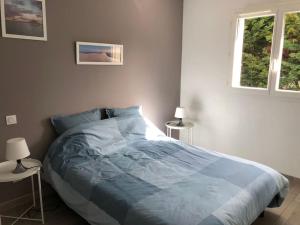 Villas Villa vacances avec piscine entre Ocean et Bassin : photos des chambres