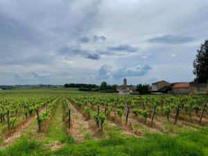 Hotels AUX DUCS DE SIENNE : photos des chambres