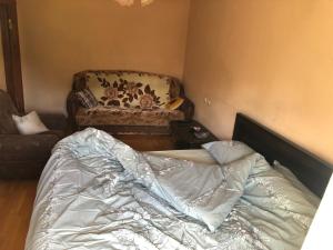 Vazha Pshavela studio