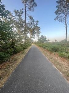 Villa Les Pins, terrasse, piscine et jardin clôt, vue forêt
