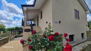 HIŠA KAPIŠ with HOT TUBE