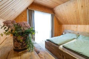 Chata Alpína - Resort AQUA MARIA