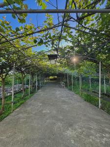 Cottage ,,Okatsia” ოკაციას კოტეჯები