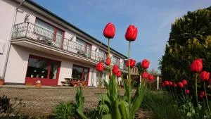 boardinghouse Kappeln by team SchleiFee - Kopperby