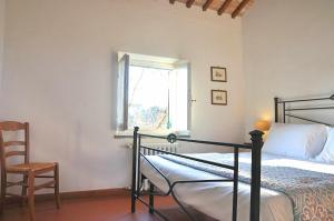 Montecasciano - Tulipano