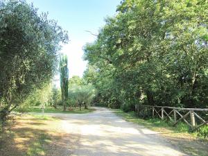 Montecasciano - Tulipano