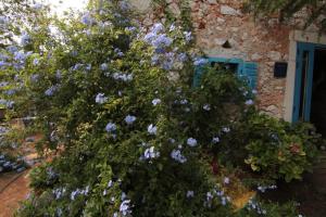 Holiday Home Botanica