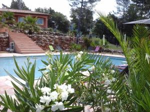 Mas des Lys photo 21