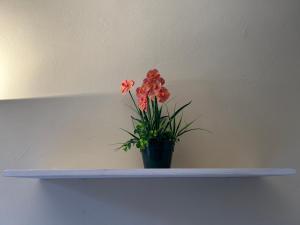 Appartamento Firenze Mayer