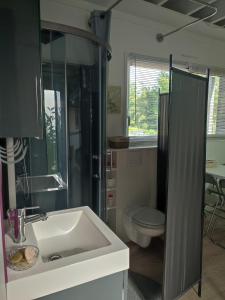 Studio meublé 1 pièce entièrement équipé sans cloisons séparatives