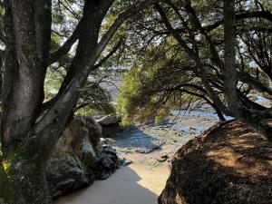 Villas LE BULTOIR : photos des chambres