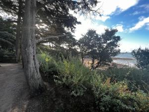 Villas LE BULTOIR : photos des chambres