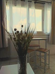 Appartements Studio lumineux 3 min Gare Houilles - RER A, Ligne L et J : photos des chambres