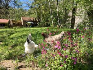 Maisons d'hotes Chambres d’hotes sur une ile : photos des chambres