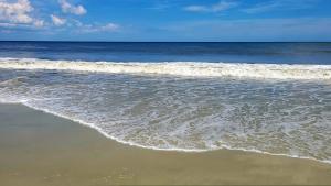 Bulldawg Beach Bunker by Tybee Vacation Rentals