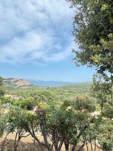 Villages vacances Residence U Pirellu : photos des chambres