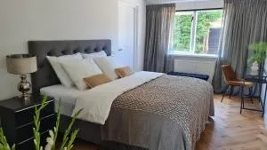 Bergen Delight - Koedijk