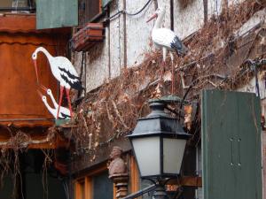 Appartements Au Coup de Coeur : photos des chambres