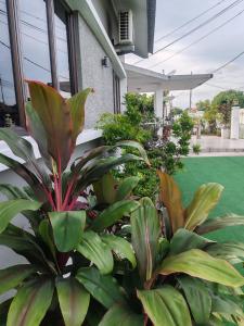 MELAKA BEACH VILLA ( A TYPE )