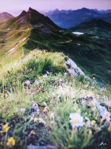 Faschina Apartment - Top 1