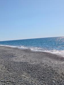 Dal Professore