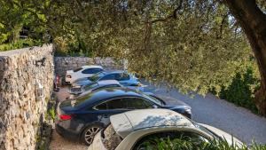 Appartements Le Mas d'Angeline - Vue mer jardin commun parking voiture obligatoire 10min voiture Monaco route etroite pente raide croisement limite voir photos - Sea view shared garden parking car mandatory 10min car Monaco narrow steep road limited passing see photos : photos des chambres