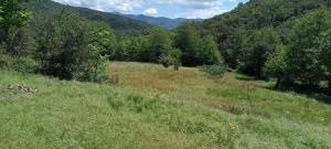 Maisons de vacances Le Murmure des Cedres - Gite en Cevennes : photos des chambres