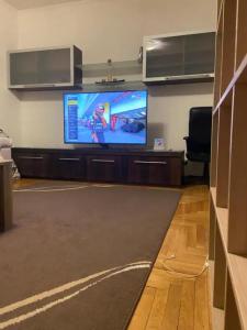New Belgrade Arena apartament